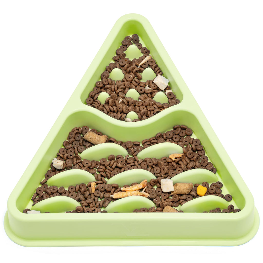 Triangular green pet feeder with brown pet food inside on a white background