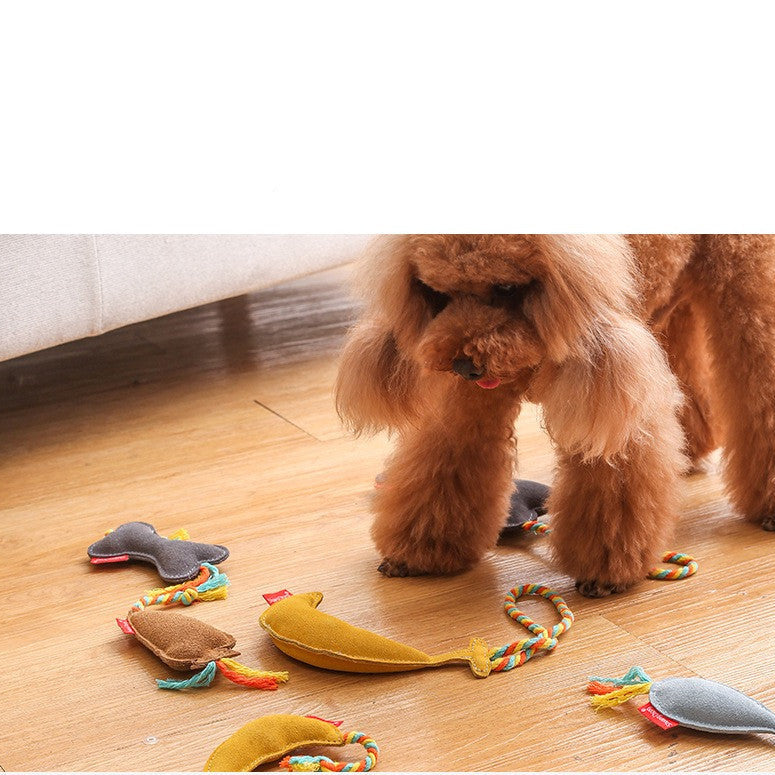 Bite-Resistant Dog Chew Toy – Squeaky Dental Molar Toy