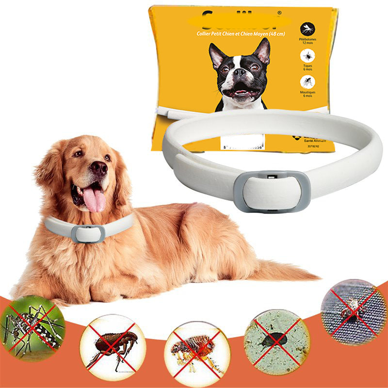 Dog wearing a electronic collar with packaging and illustrations of pest control on a white background