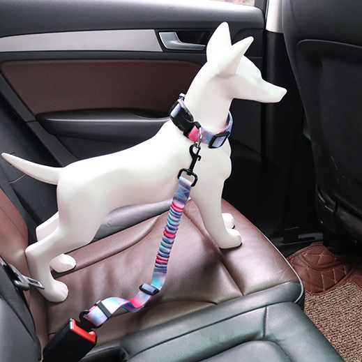 Dog toy resembling a dog on a car seat with a colorful leash.