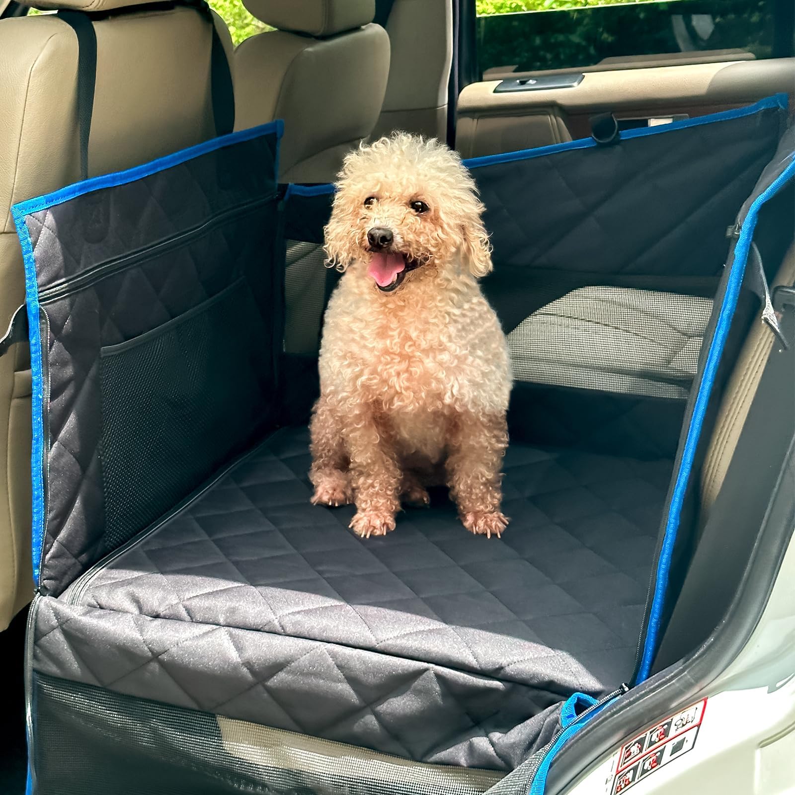 Dog sitting on a car seat cover with a blue border in a vehicle.