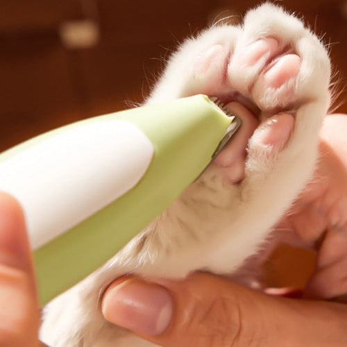 Person using a green pet grooming tool on a cat's paw with a blurred background