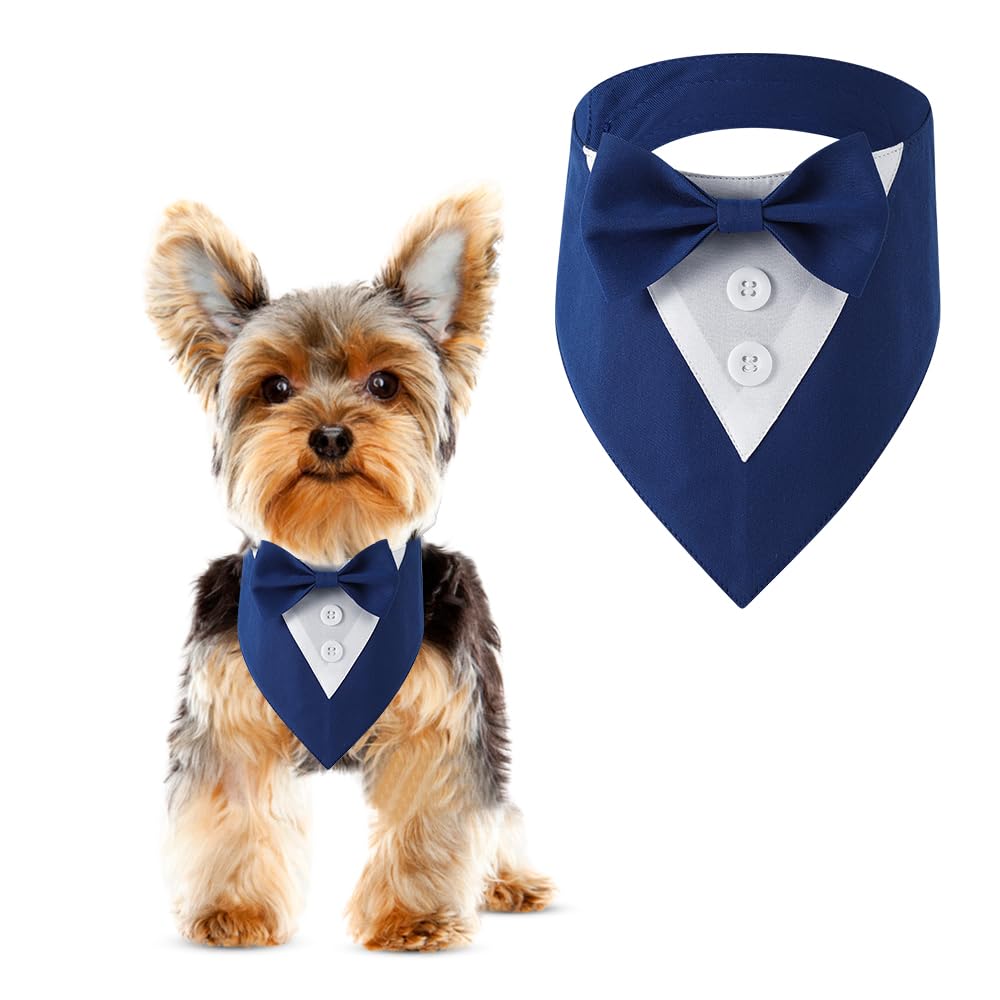 Dog wearing a blue bow tie and bandana with a matching product on a white background