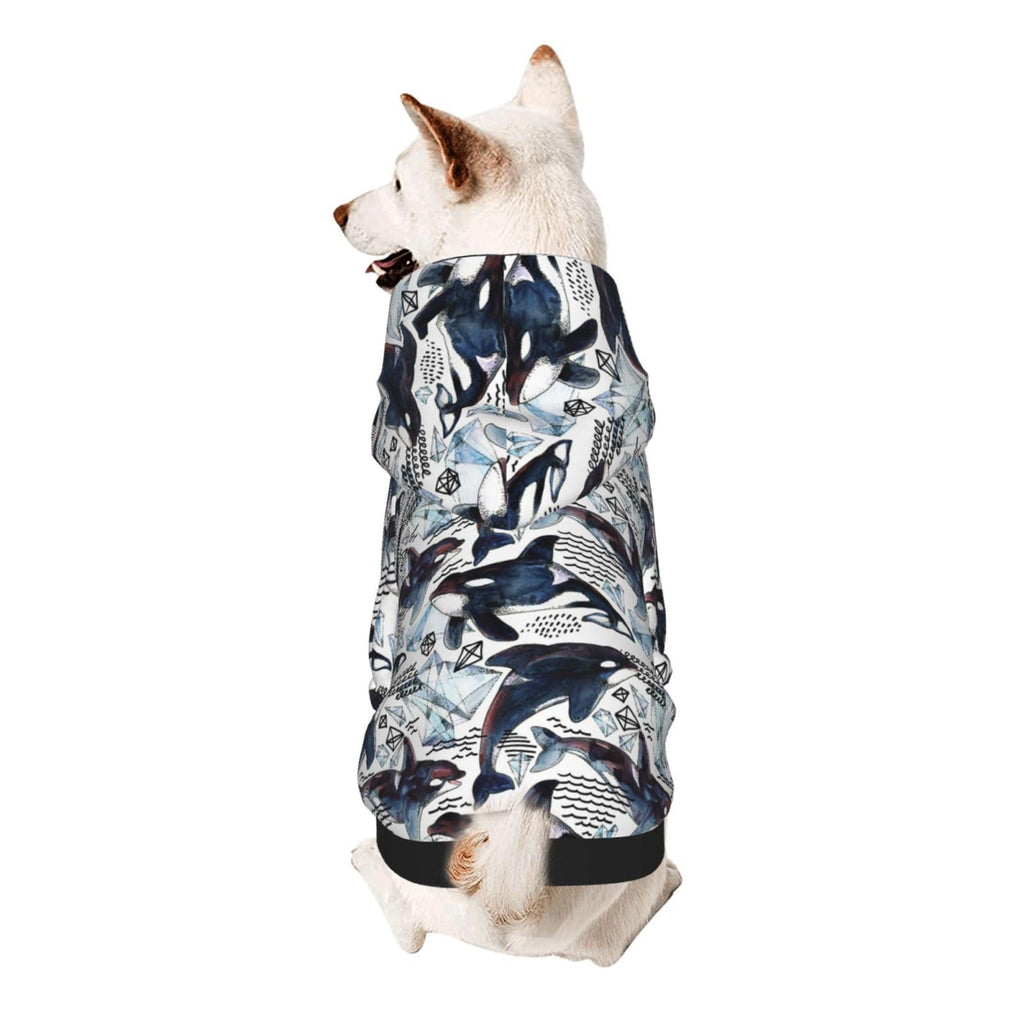 Dog wearing a blue and white patterned coat on a white background