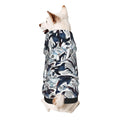 Dog wearing a blue and white patterned coat on a white background