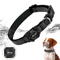 Black dog collar with water droplets and a dog wearing the collar on a white background