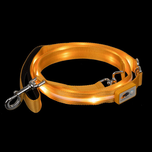 Orange dog leash with metal clip on a black background