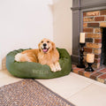 Dog lying on a green 'Macallan' branded dog bed in a cozy living room.