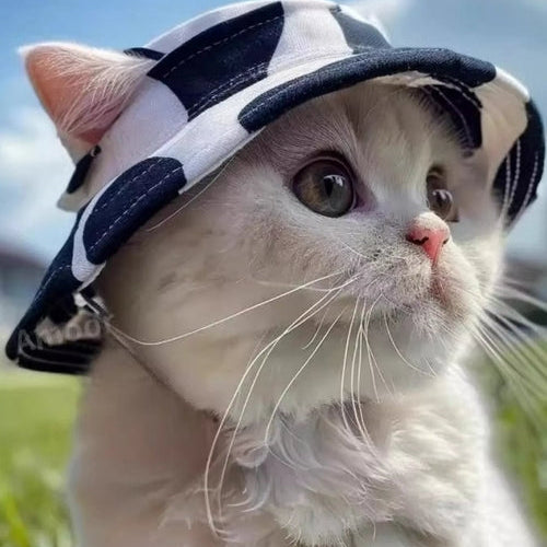 Cat wearing a striped hat with a blue sky and clouds in the background