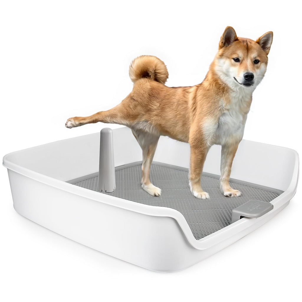 All For Paws Large Dog Pee Pad Holder – Grid Tray with Removable Post