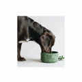 Portable Folding Dog Bowl