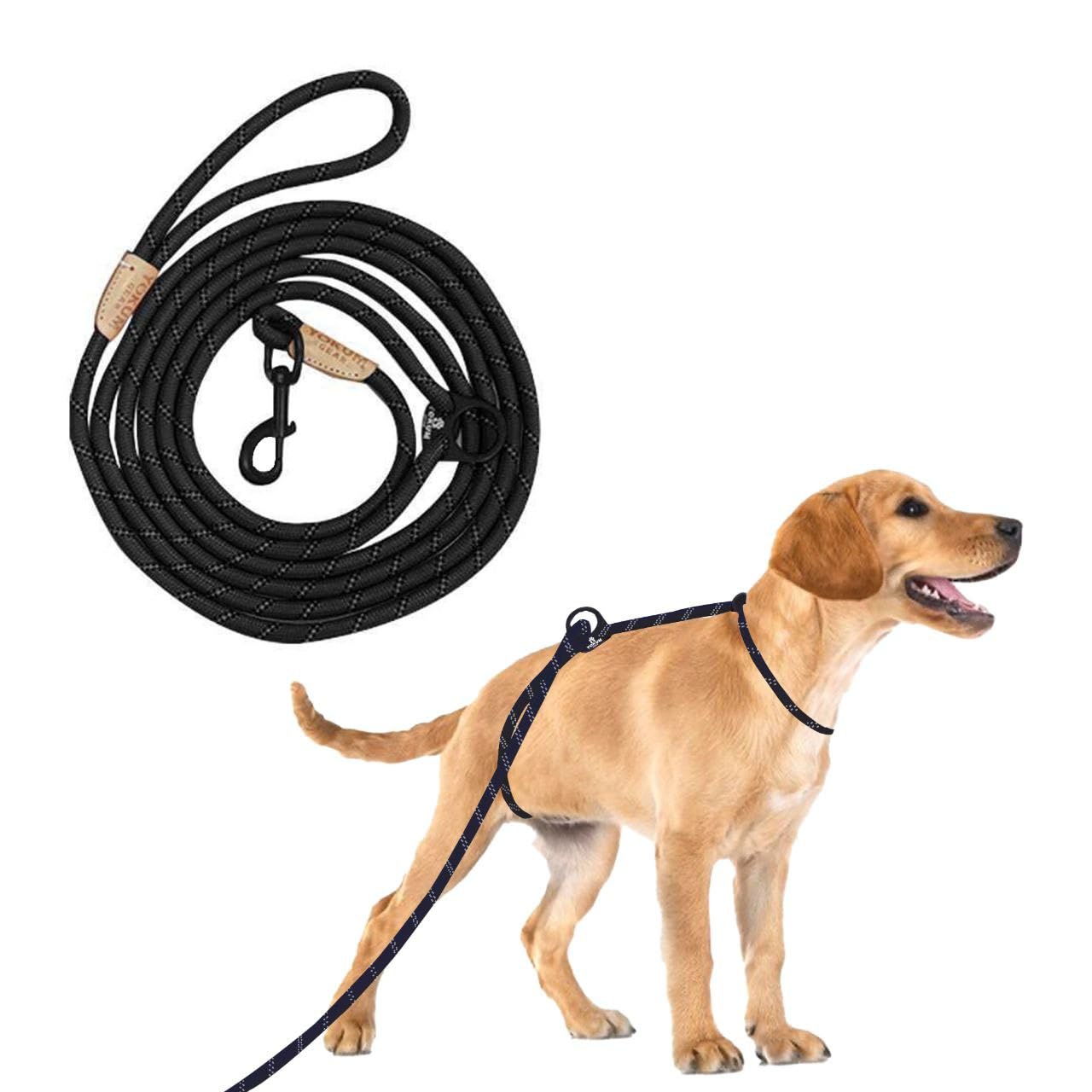 Dog leash with a dog on a white background