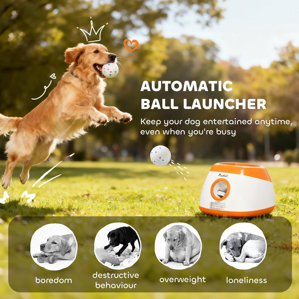 Automatic ball launcher for dogs with a dog playing in the park and text about keeping dogs entertained.