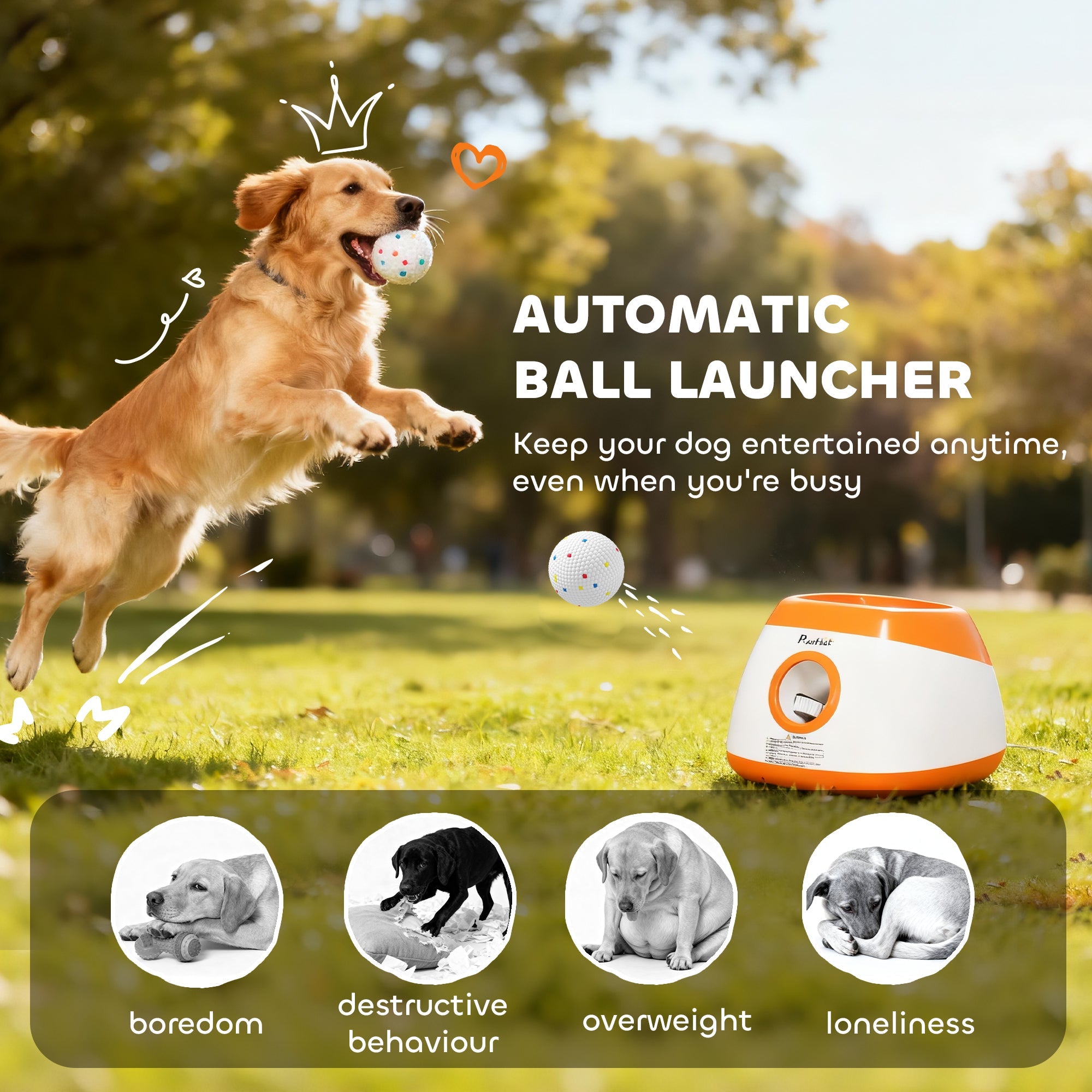 Automatic ball launcher for dogs with a dog playing in the park and text about keeping dogs entertained.