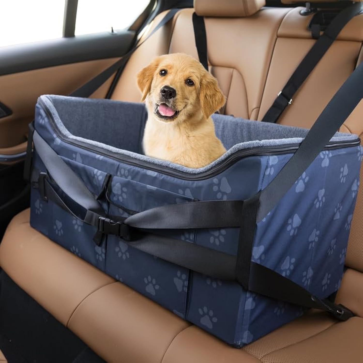 Dog sitting in a blue pet carrier on a car seat