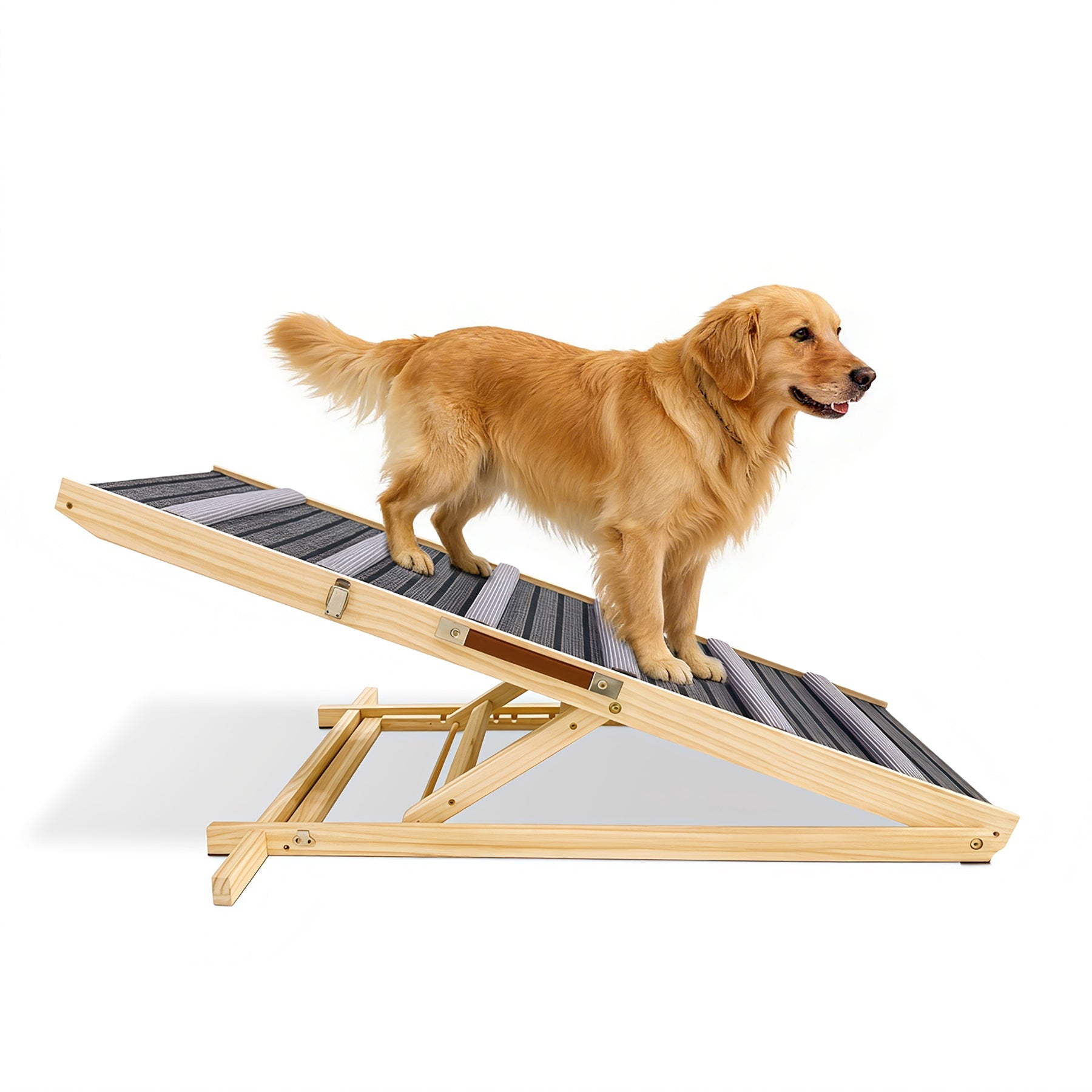 Dog standing on a wooden ramp with a white background