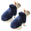 Two French Bulldogs wearing navy blue hoodies on a white background