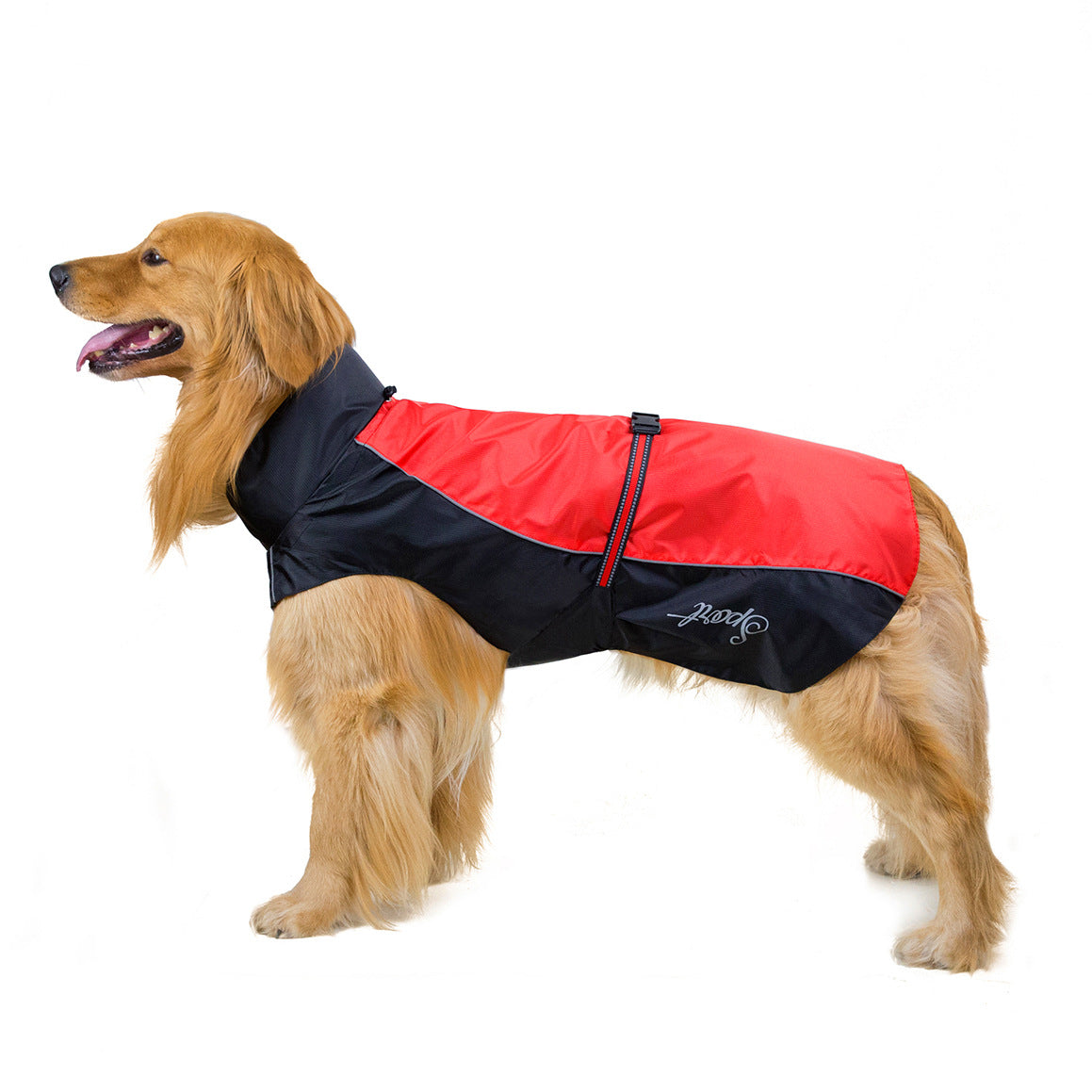 Dog wearing a red and black coat on a white background