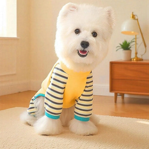 White dog wearing a yellow and striped shirt on a carpeted floor.