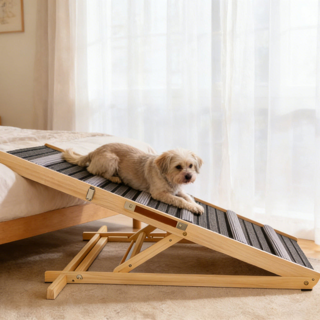 Dog lying on a wooden pet ramp in a bedroom
