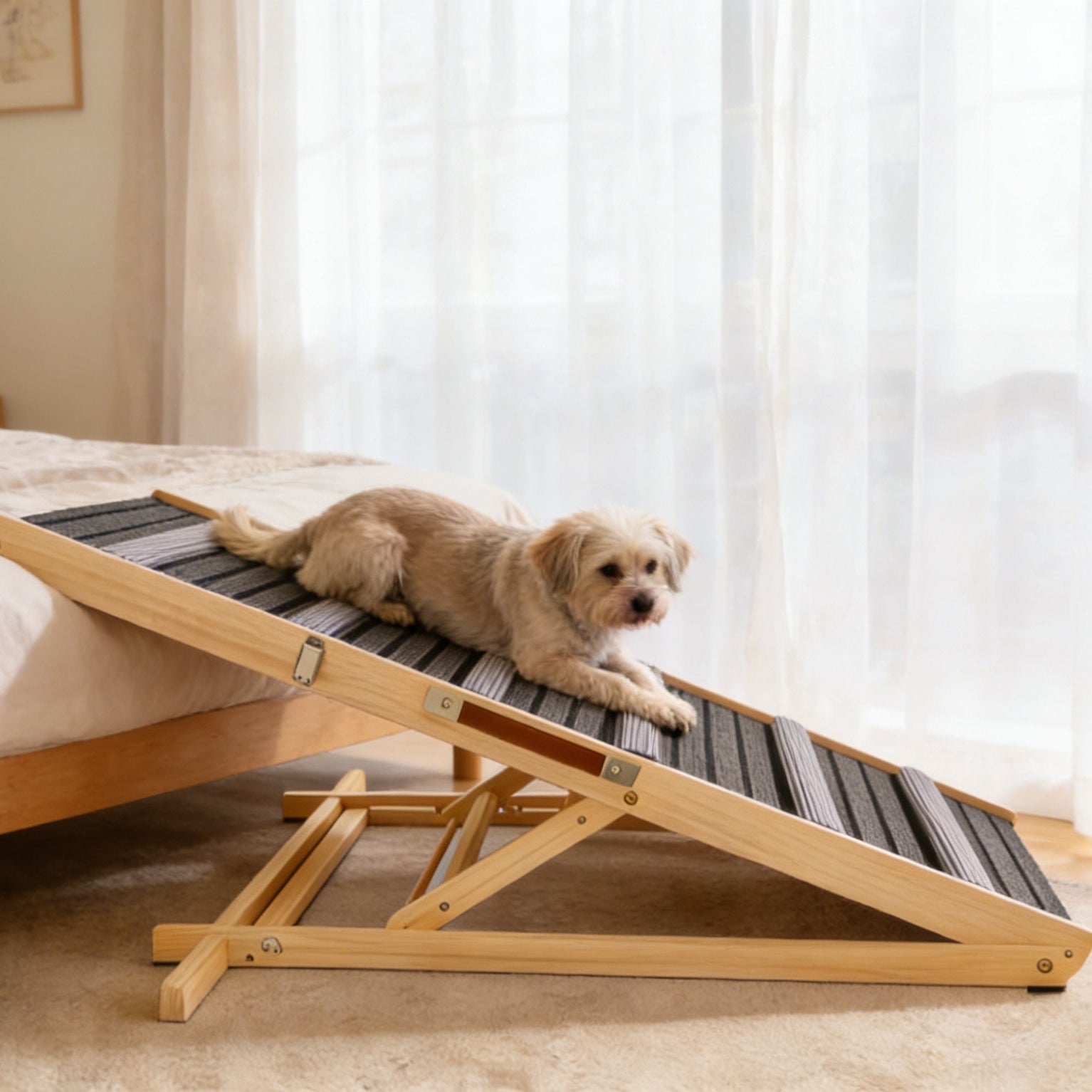 Dog lying on a wooden pet ramp in a bedroom