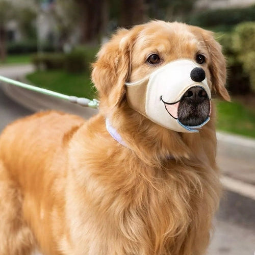 Dog wearing a face mask in an outdoor setting
