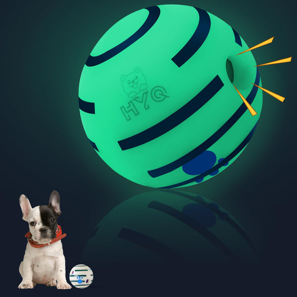 Green and blue ball with HYQ branding next to a small dog on a dark background