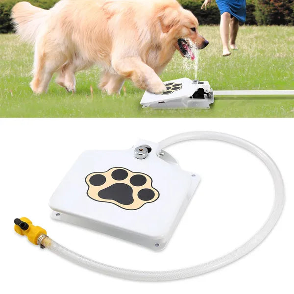 Dog drinking water from a portable water fountain on grass with a close-up of the device below.