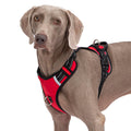 Dog wearing a red and black harness on a white background