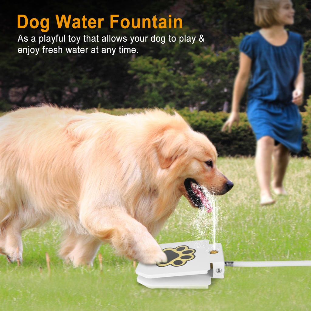 Dog playing with a water fountain in an outdoor setting