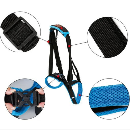 Dog harness with close-up details on a white background