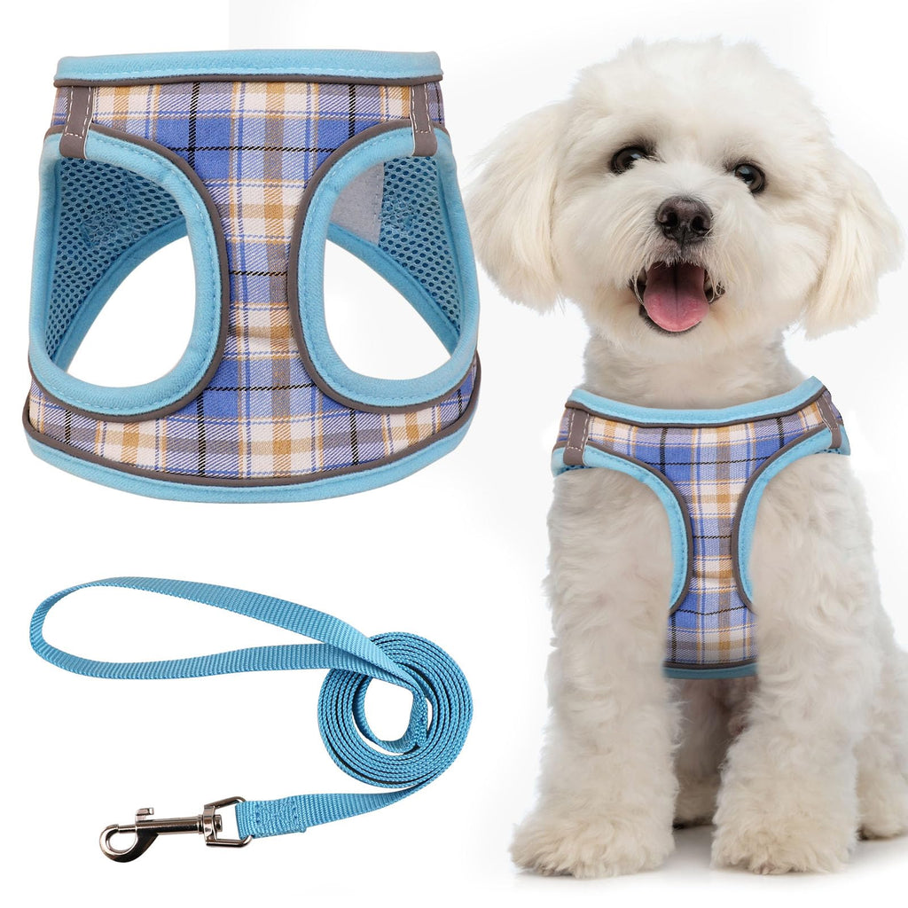 Dog wearing a plaid harness with a matching leash on a white background