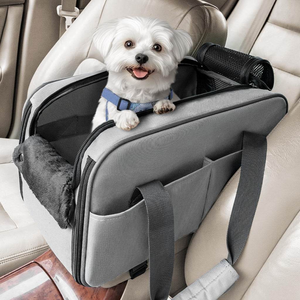 Small white dog sitting in a car seat cover with a blue harness.
