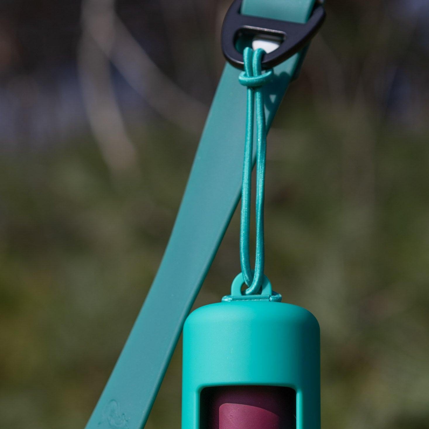 Turquoise dog training clicker on a leash with a blurred grassy background