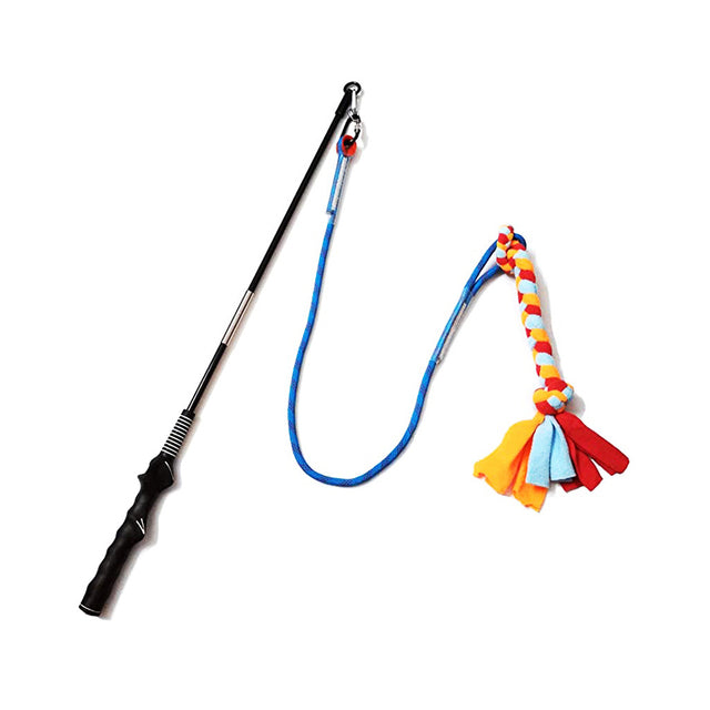 Interactive Pet Teaser Wand Toy for Cats & Dogs