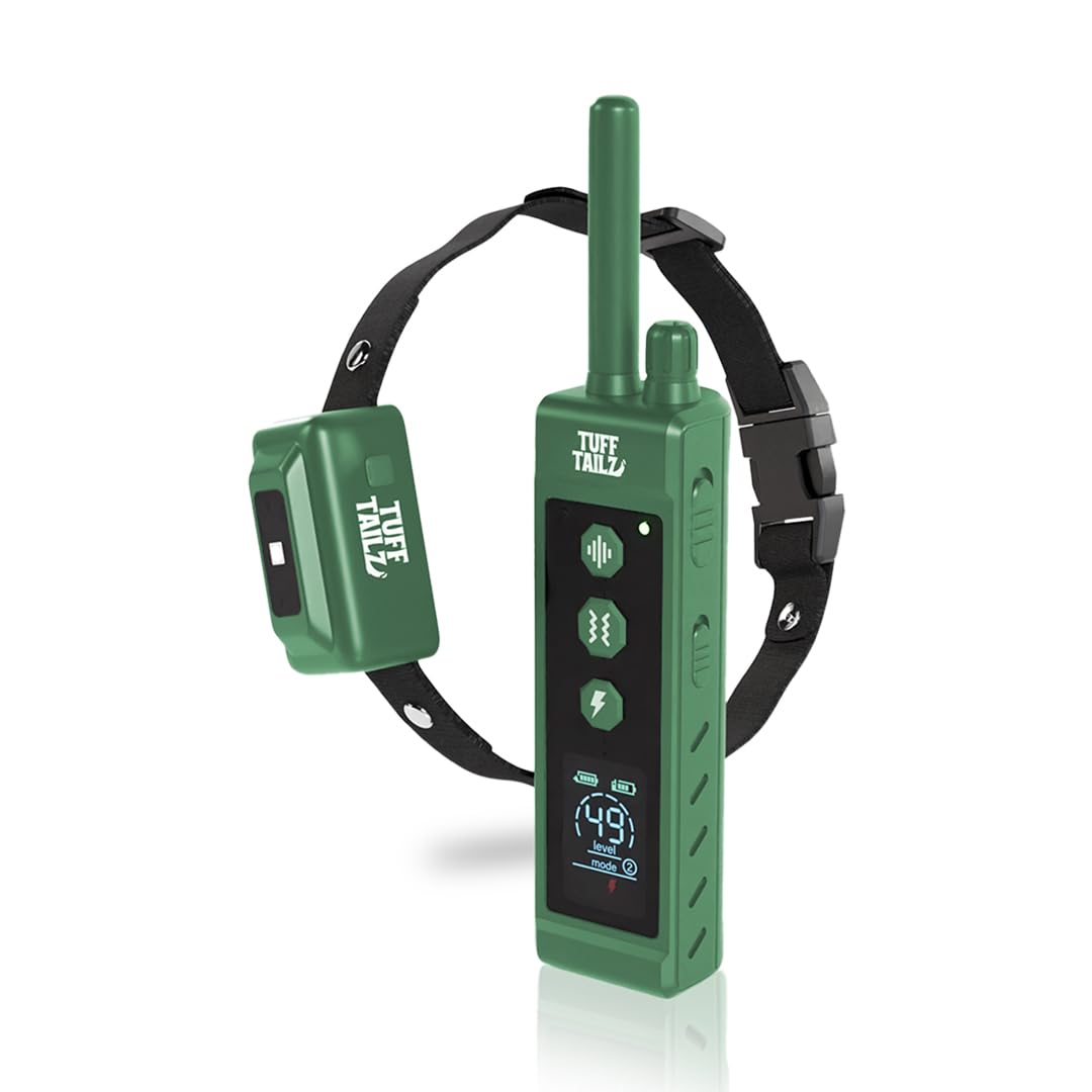 Green electronic dog training collar with receiver on a white background