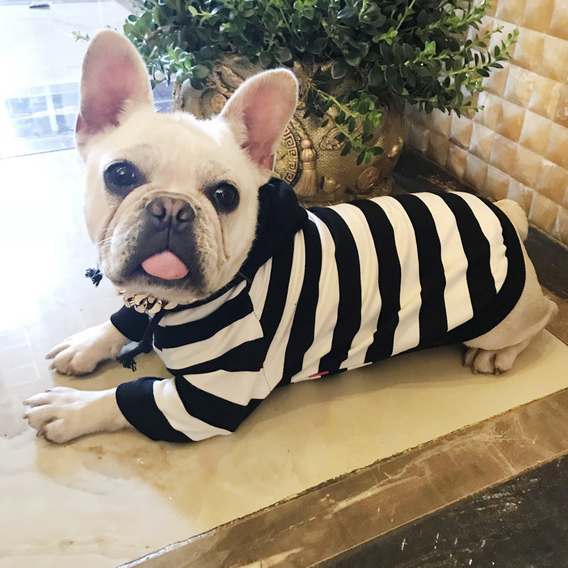 Dog wearing a black and white striped outfit on a marble surface.
