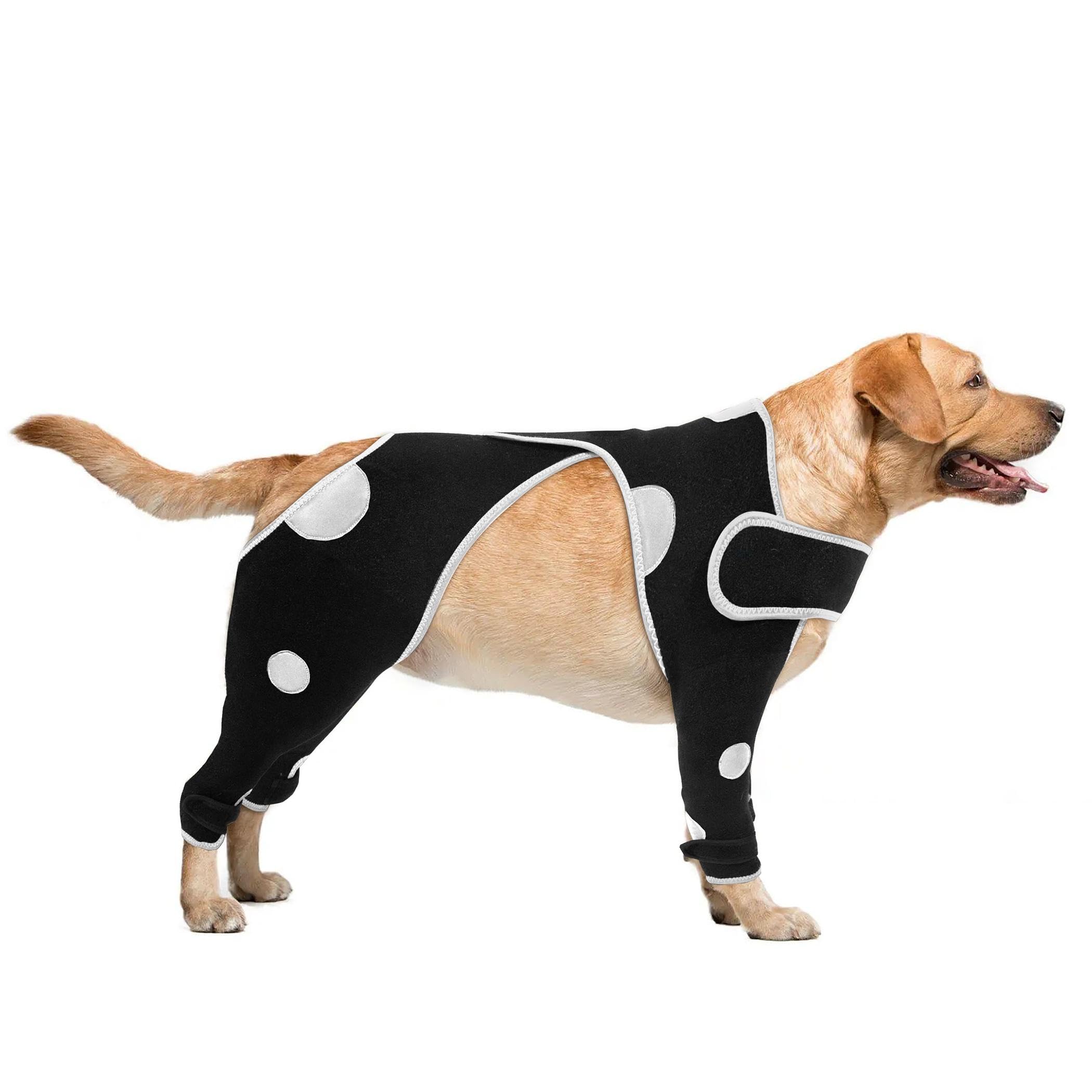 Dog wearing a black compression suit with white polka dots on a white background