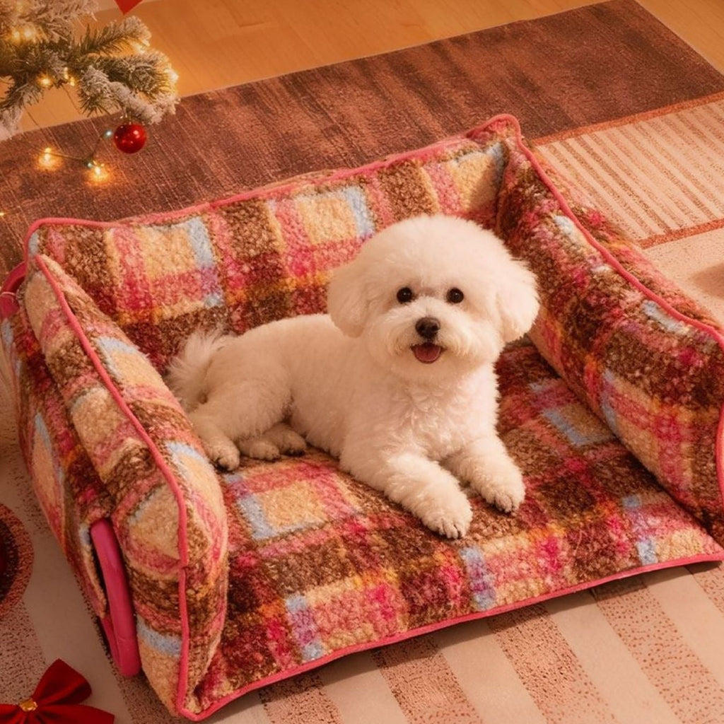 White dog on a colorful checkered pet bed in a cozy room with a Christmas tree.