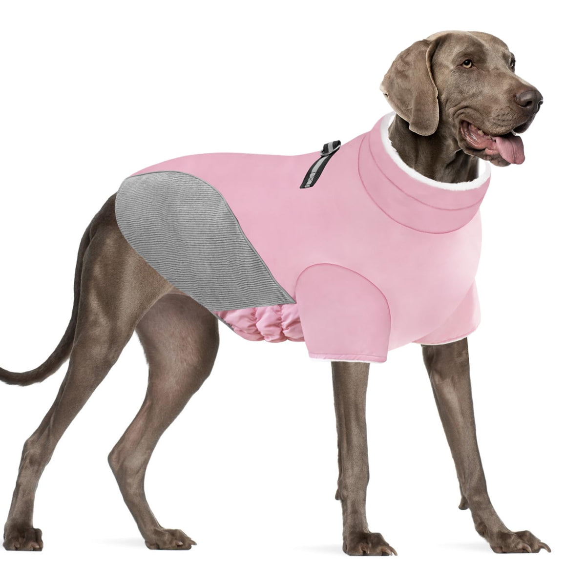 Mrcopetal Fleece-Lined Dog Winter Coat with Harness Hole