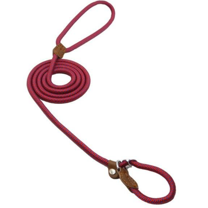 Nylon & PU Leather Dog Collar & Leash Set