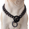 Dog wearing a large black chain collar on a white background