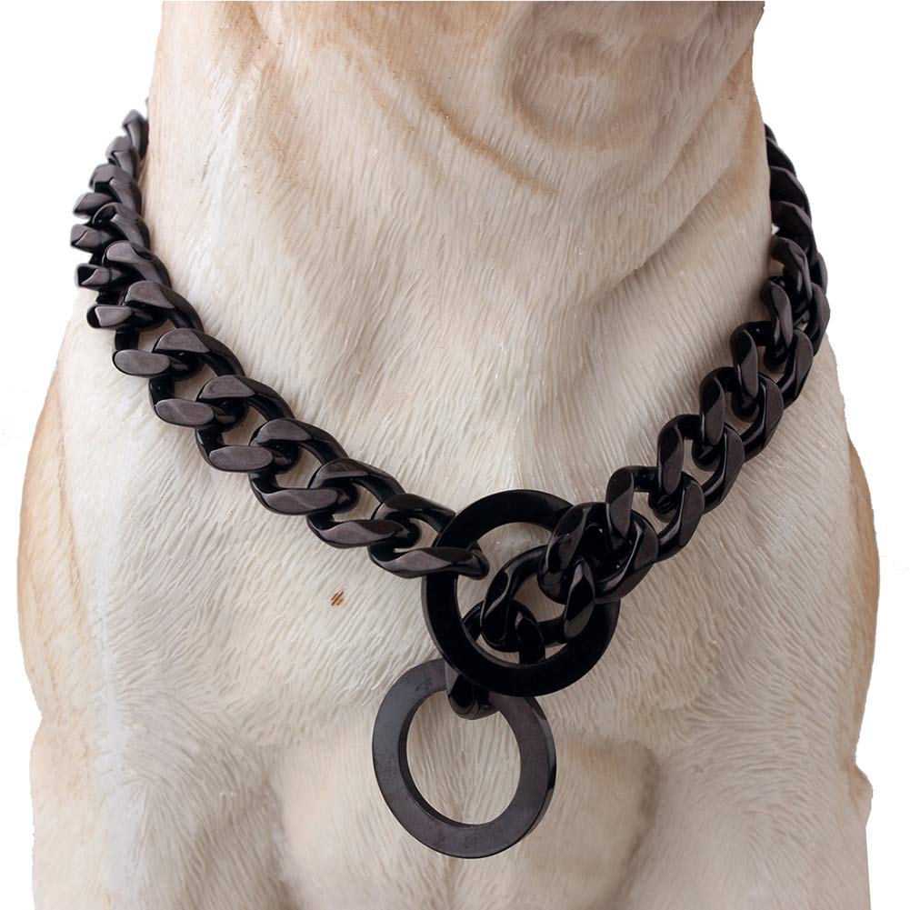 Dog wearing a large black chain collar on a white background