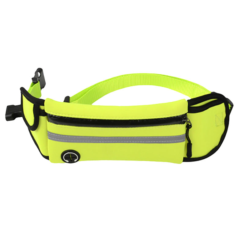 Dog Walking Waist Bag with Leash – Waterproof & Reflective