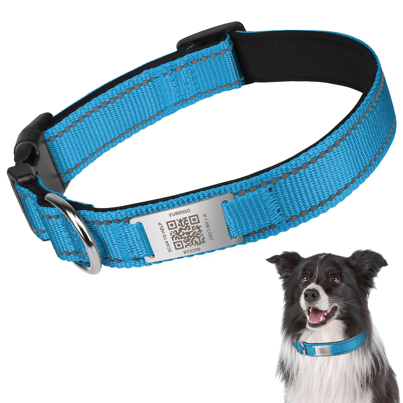 Blue dog collar with a QR code tag on a white background, featuring a dog wearing the collar.