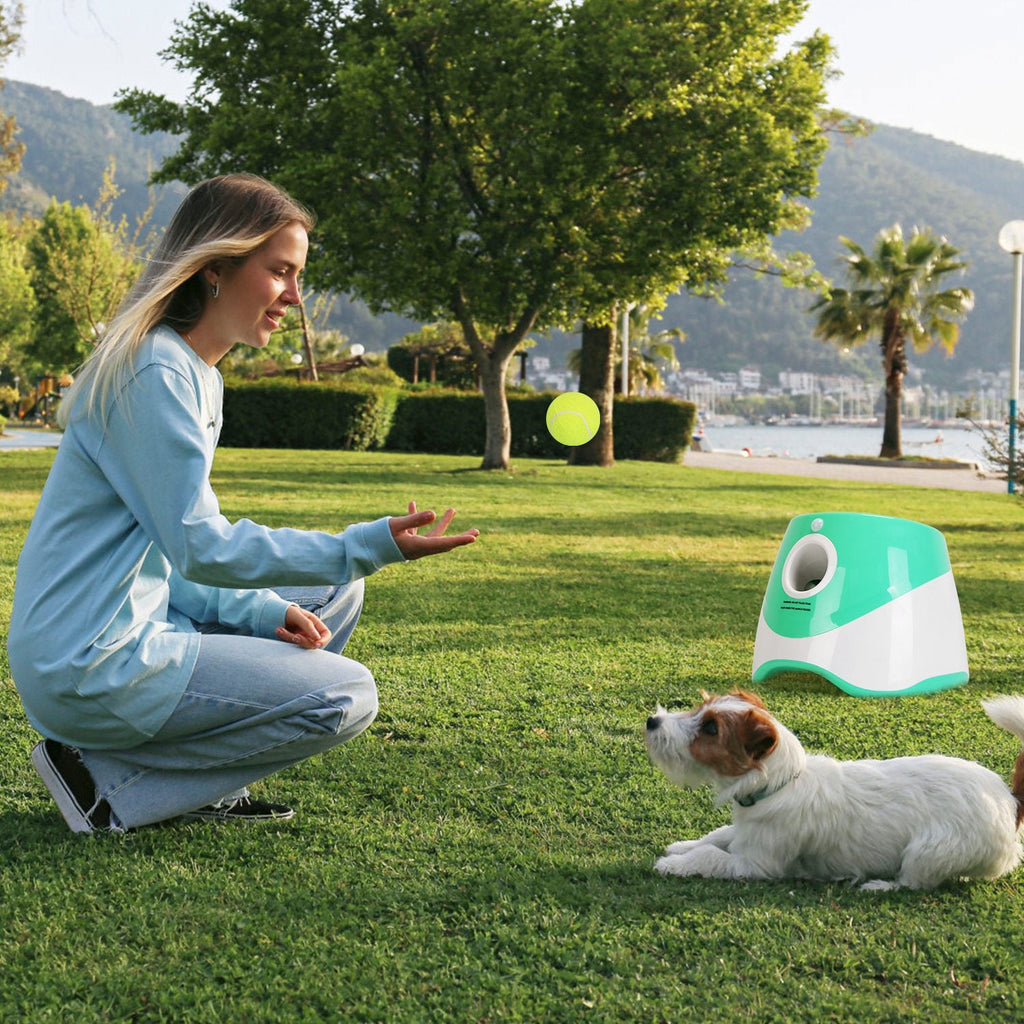 Woman playing fetch with a dog in a park, with a green and white device on the grass.