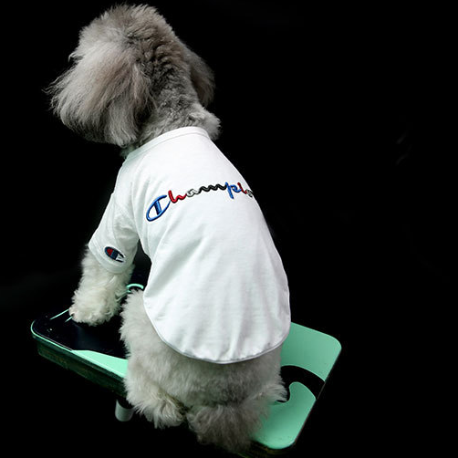 Dog wearing a white sweatshirt with a logo on a black background
