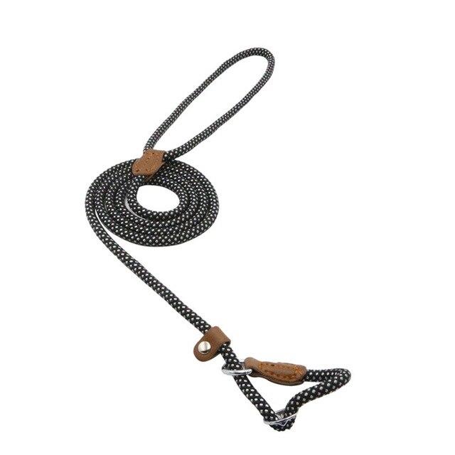 Nylon & PU Leather Dog Collar & Leash Set