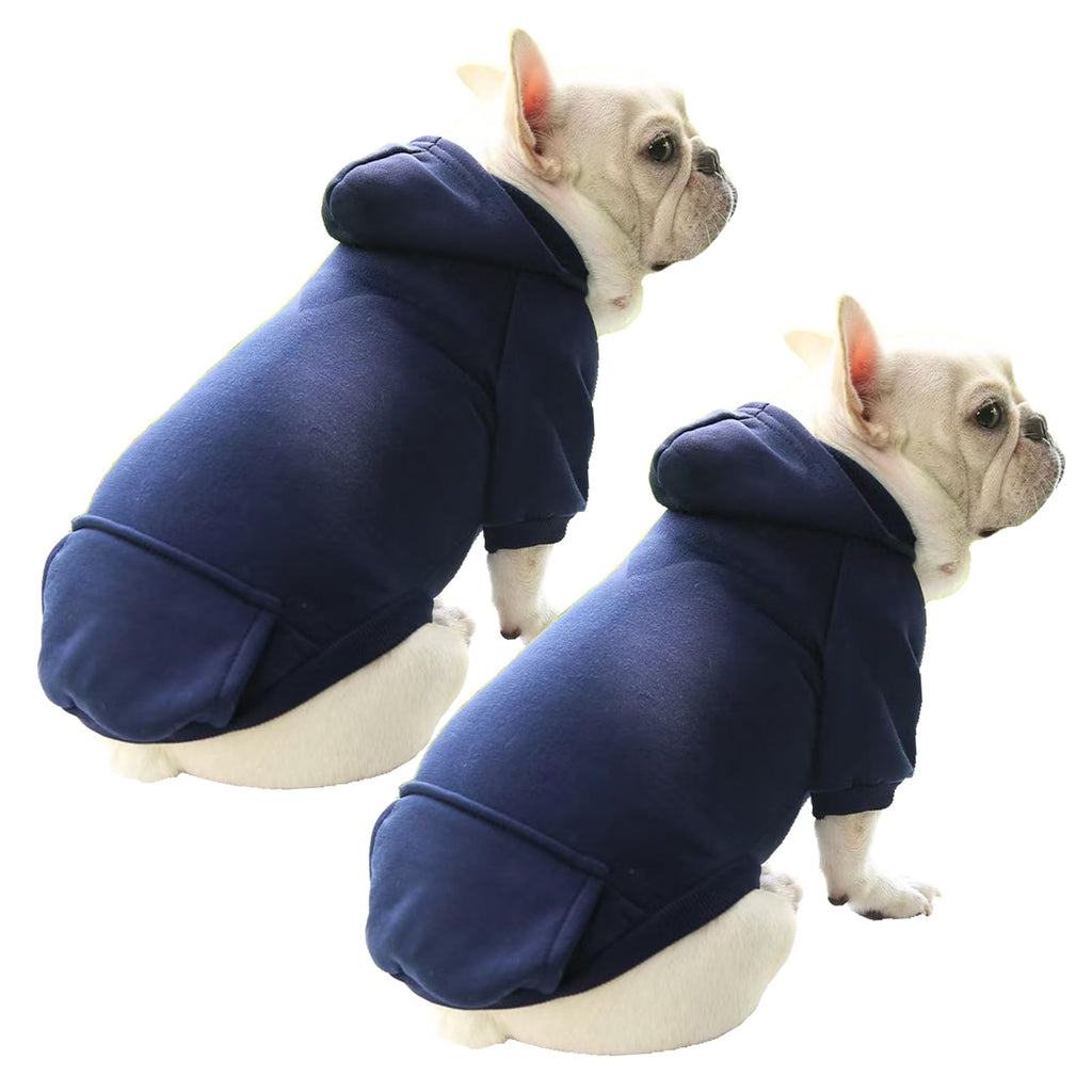 Two French Bulldogs wearing navy blue hoodies on a white background