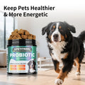 Petitrinu probiotic supplement for dogs with a dog running in the background